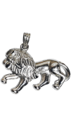 Protective Lion Charm